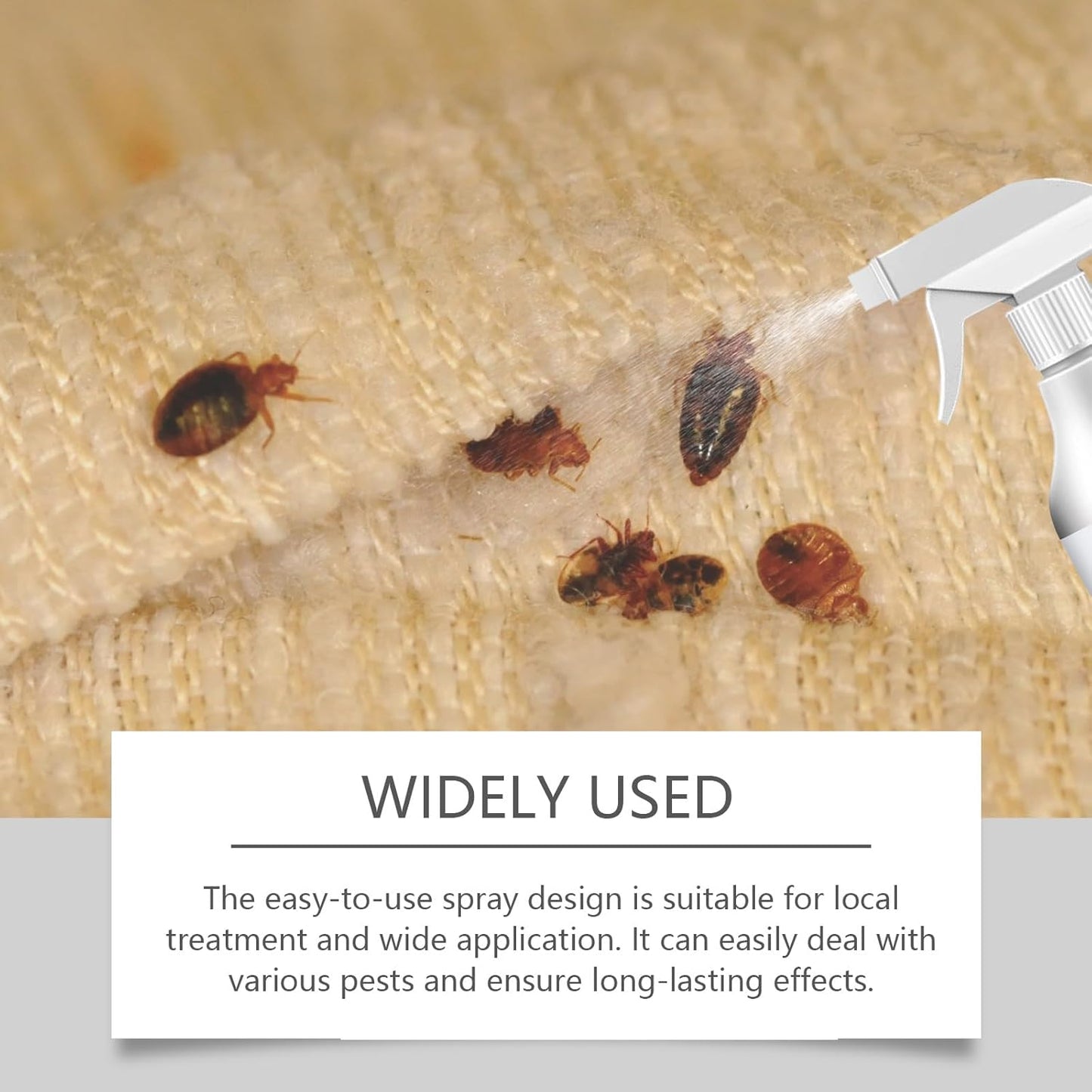 🐛🦟Powerful Bed Bug Repellent Spray💥 BUY 1 GET 1 FREE