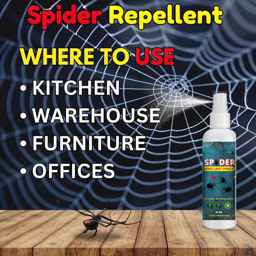 Spider Repellent Spray – Natural Protection for Home, Office & Garden