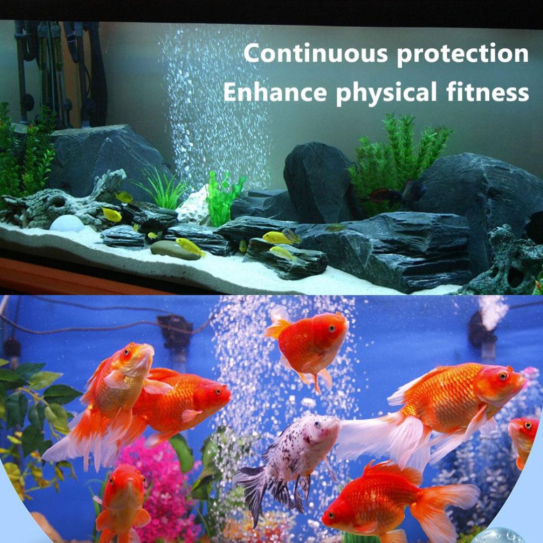 Fish Tank Water Purifier Algae Remover (Buy 1 Get 1 Free)