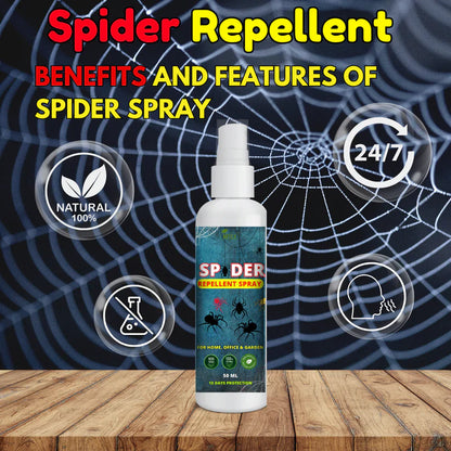 Spider Repellent Spray – Natural Protection for Home, Office & Garden