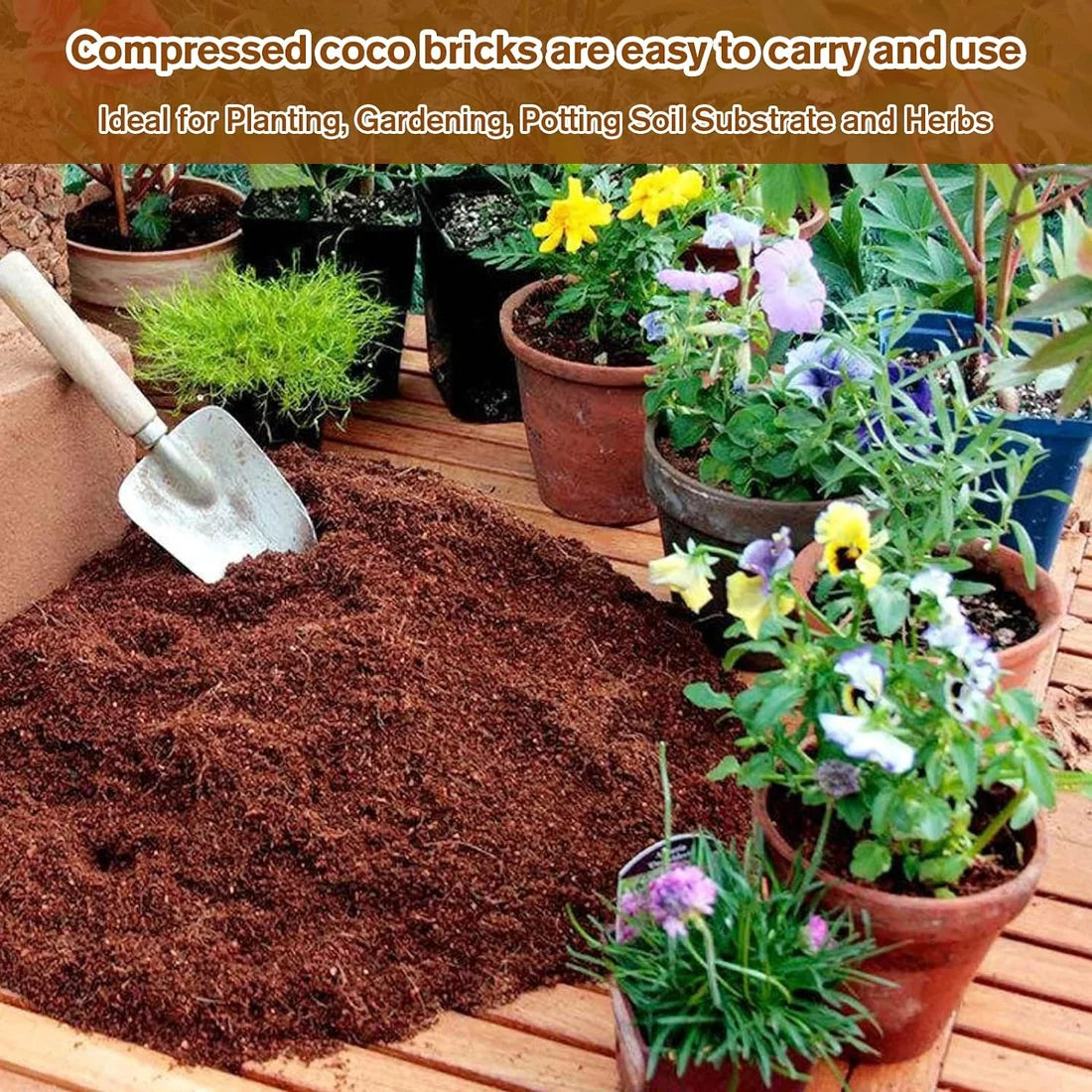 ✨Last Day Sale 49% OFF✨ - Organic Coconut Coir for Plants | Buy 1 Get 1 Free |