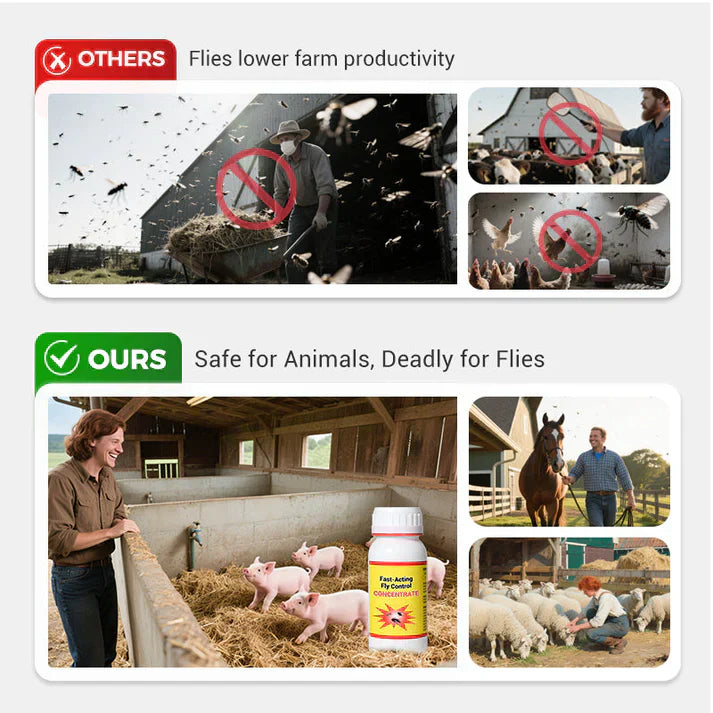Universal High-Efficiency & Safe Fly Control Agent BUY 1 GET 1 FREE