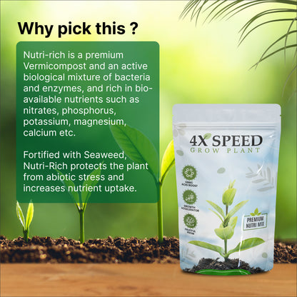 4x Speed Plant Growth Biofertilizer 🌱😍 (BUY 1 GET 1 FREE)
