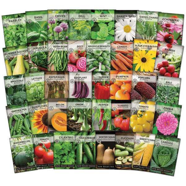 Plant Growth Supplement + Vegetables Seeds Combo