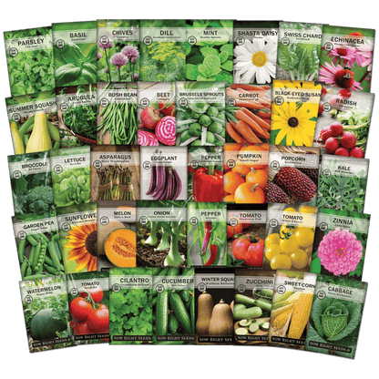 Plant Growth Supplement + Vegetables Seeds Combo