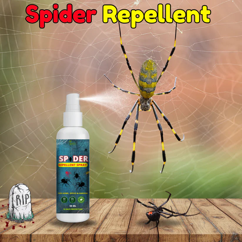 Spider Repellent Spray – Natural Protection for Home, Office & Garden