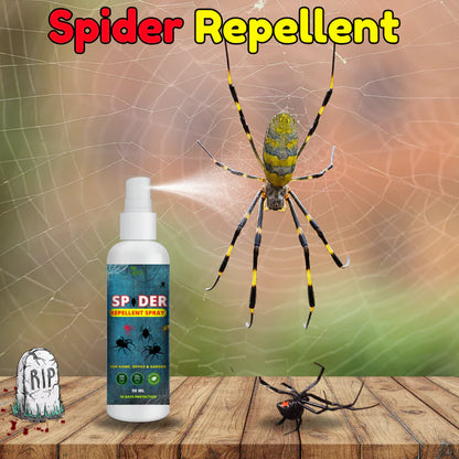 Spider Repellent Spray – Natural Protection for Home, Office & Garden