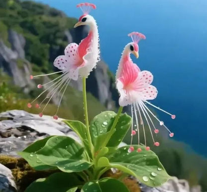 Peacock Flower Bulbs — Plant hope, watch splendor bloom!🌸🌸