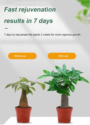 👍[Recommended by plant experts]🌿Plant and Flower Activation Liquid Solution ( BUY 3 GET 2 FREE )