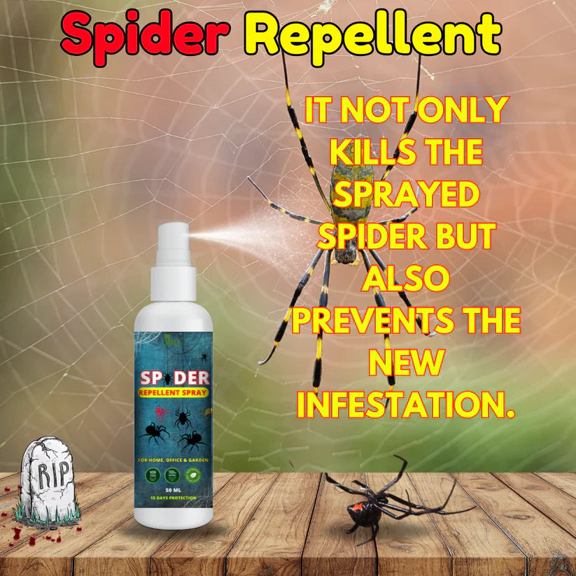 Spider Repellent Spray – Natural Protection for Home, Office & Garden