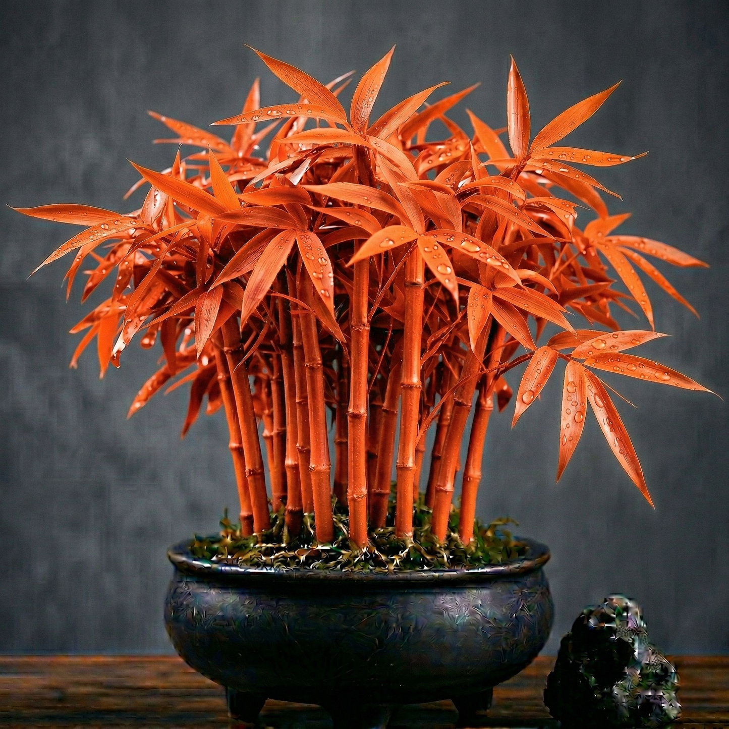 🌿 KuberBamboo - Multi-Color Lucky Bamboo Cypress | BUY 1 GET 1 FREE🎋
