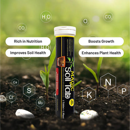 PlantBoost™ - Magic Plant Soil Tablets 🌱✨ (Buy 1 Get 1 Free 🔥🔥)