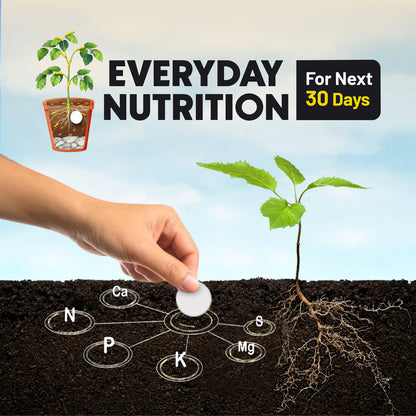 PlantBoost™ - Magic Plant Soil Tablets 🌱✨ (Buy 1 Get 1 Free 🔥🔥)