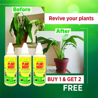 100% Organic Plant Boost Biofertilizer | BUY 1 GET 2 FREE |