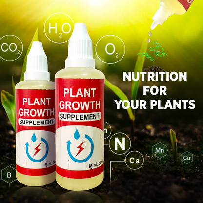 Plant Growth Supplement + Vegetables Seeds Combo