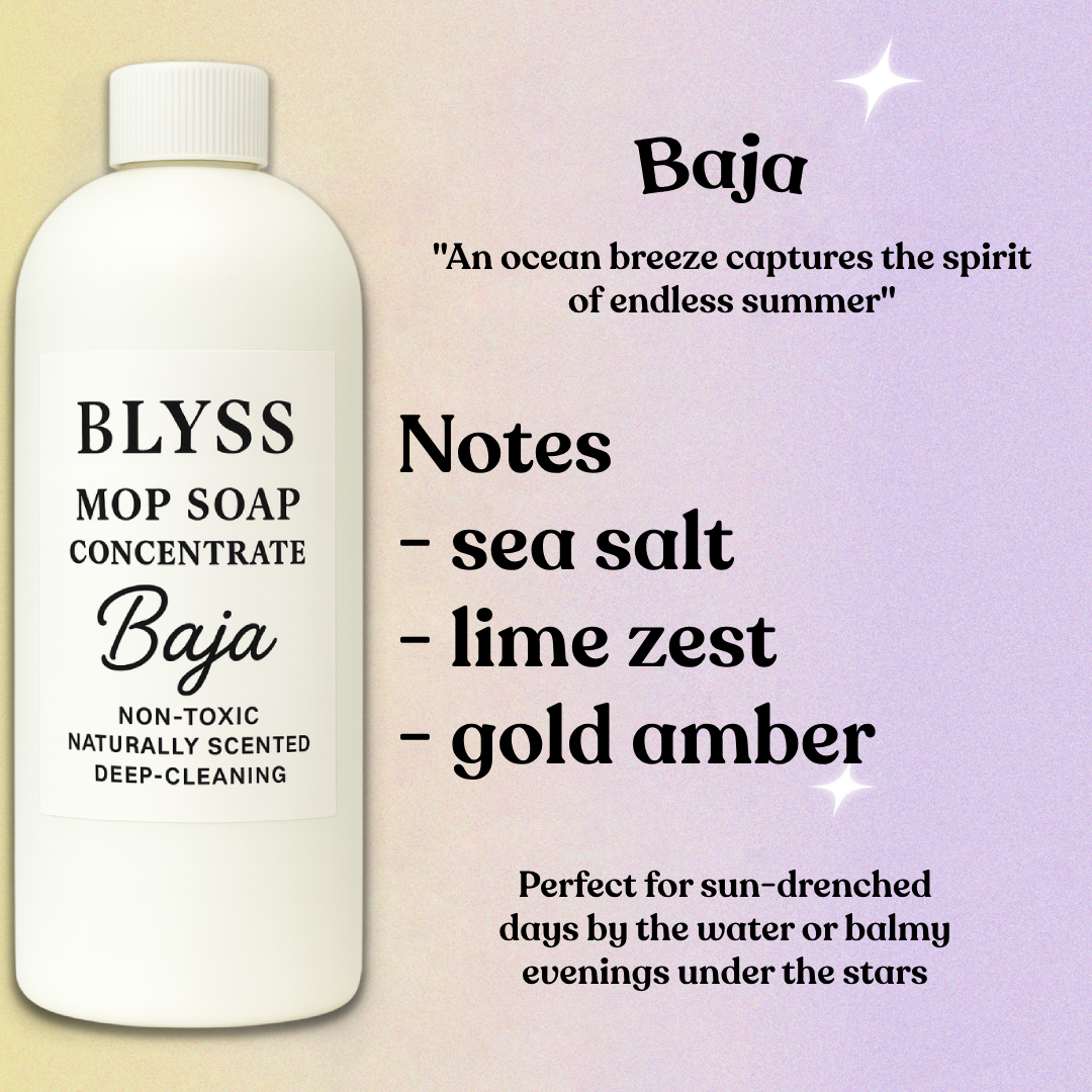 Blyss Natural Scented Mop Soap