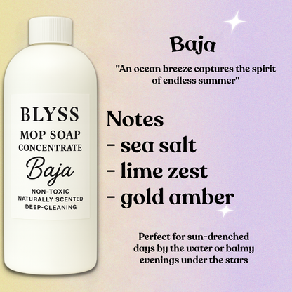 Blyss Natural Scented Mop Soap