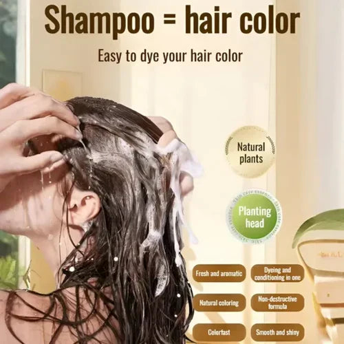 Japanese Long Lasting Natural Hair Dye Shampoo (Buy 2 Get 2 Free)🍶
