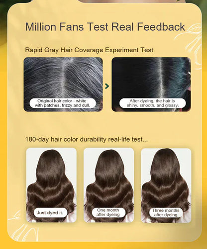 Japanese Long Lasting Natural Hair Dye Shampoo (Buy 2 Get 2 Free)🍶