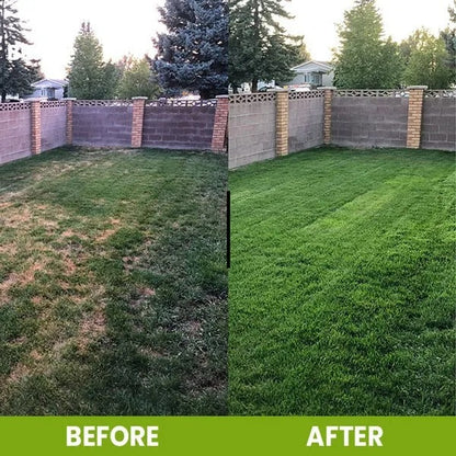 Soil Activator: Plants' Best Friend - Rejuvenate Your Plants ( BUY 1 GET 1 FREE )