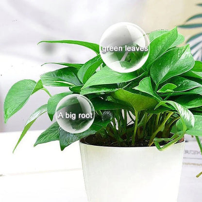 Universal Nutrient Solution for Plants 500ml