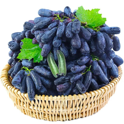 Imported Sweet Sapphire Grape Seeds 🍇 | BUY 1 GET 1 FREE | Pack of 50 seeds