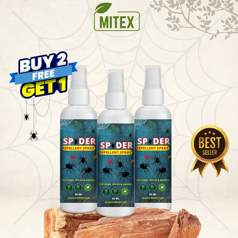 Spider Repellent Spray – Natural Protection for Home, Office & Garden