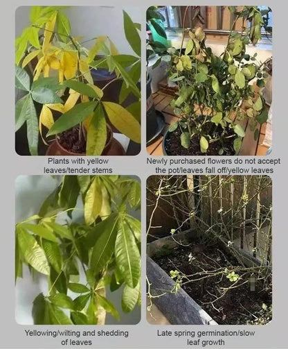 👍[Recommended by plant experts]🌿Plant and Flower Activation Liquid Solution ( BUY 3 GET 2 FREE )