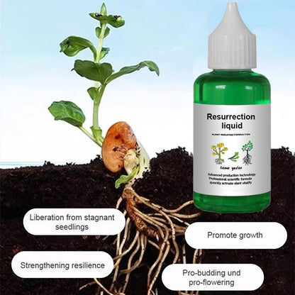 👍[Recommended by plant experts]🌿Plant and Flower Activation Liquid Solution ( BUY 3 GET 2 FREE )