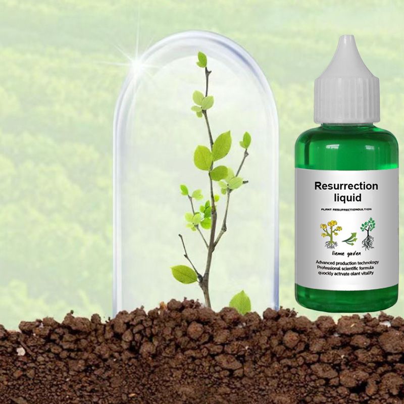 👍[Recommended by plant experts]🌿Plant and Flower Activation Liquid Solution ( BUY 3 GET 2 FREE )