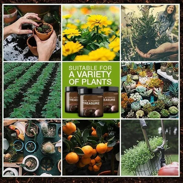 Soil Revitalization Treasures - (BUY 1 GET 1 FREE) 🌱😍